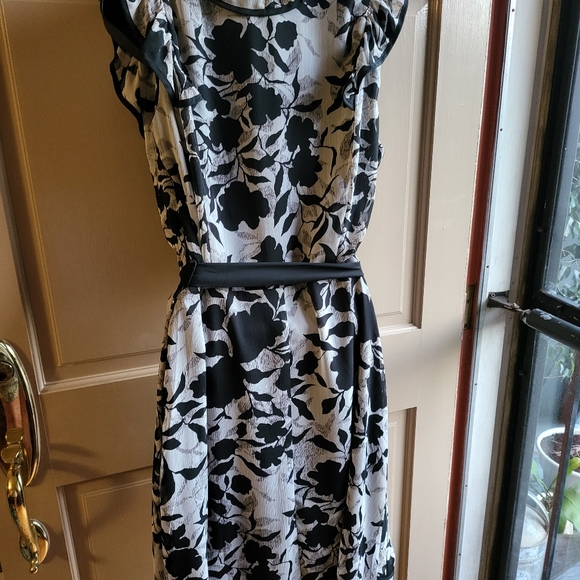 V-Neck Sleeveless Dress with Black Sash - Picture 5 of 7